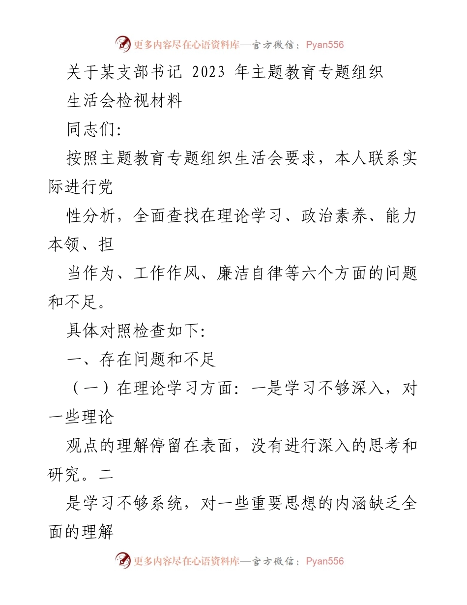 [工作总结] 主题教育专题组织生活会 - 支部书记2023年主题教育自我检视与问题分析.docx_第1页