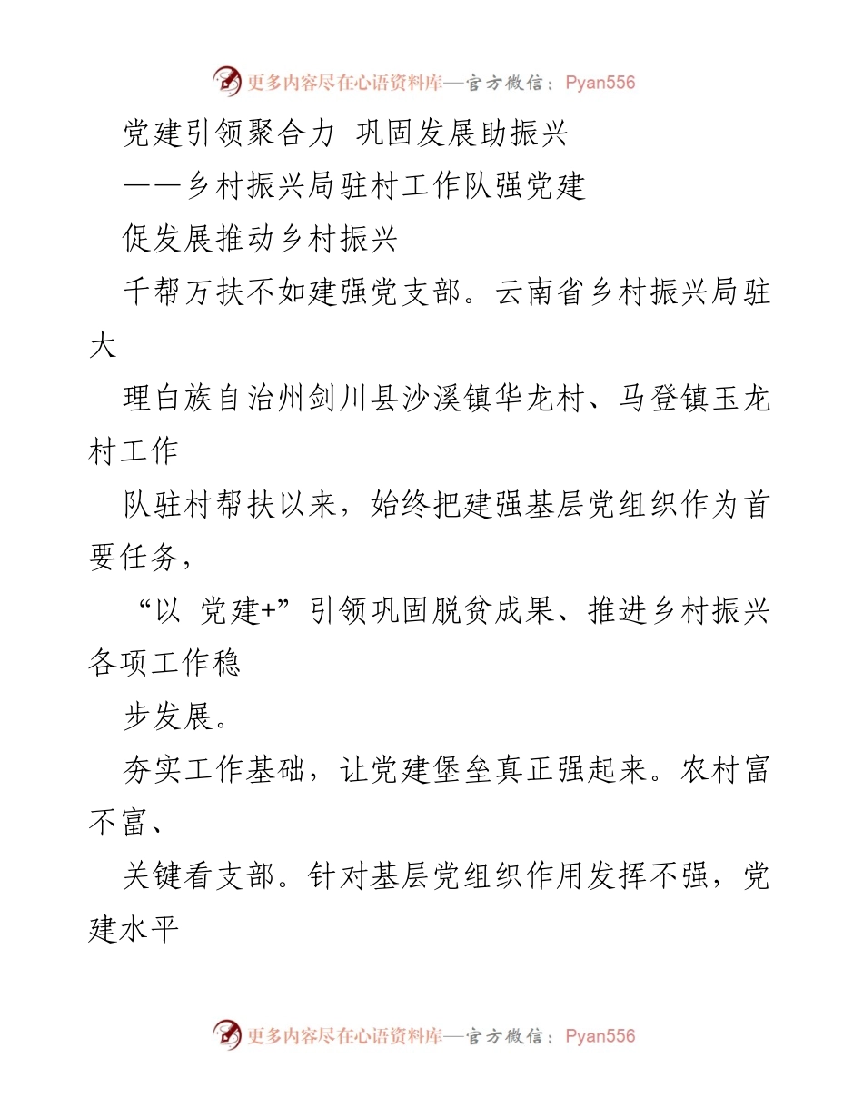 [工作总结] 乡村振兴局驻村工作 - 党建引领乡村振兴，巩固脱贫成果.docx_第1页