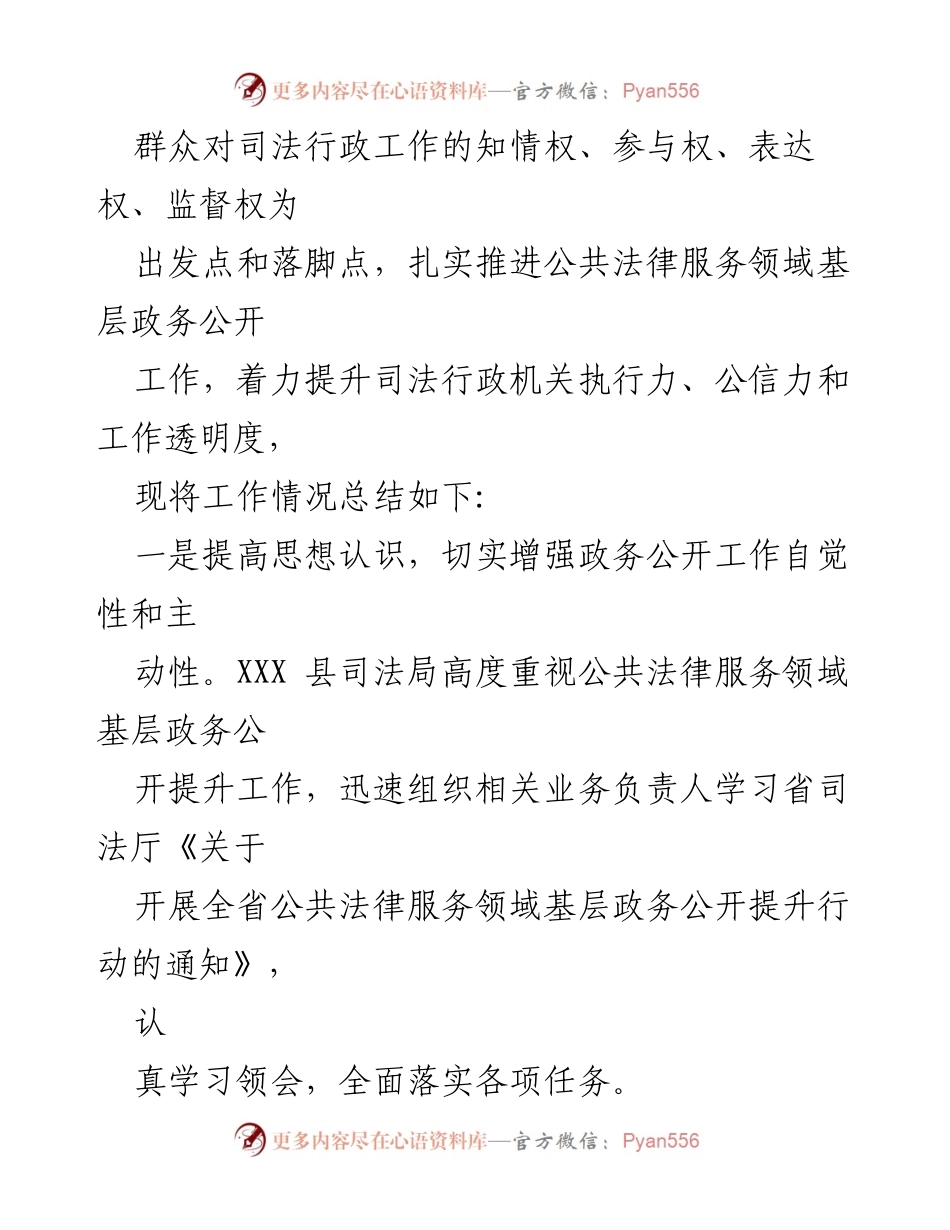 [工作总结] XXX 县司法局 - 提升公共法律服务领域政务公开工作的实践与成效.docx_第2页