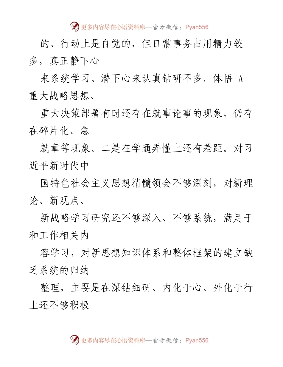 [工作总结] 主题教育民主生活会 - 深入查摆问题与自我剖析报告.docx_第2页