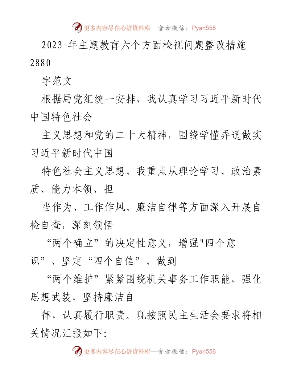 [工作总结] 主题教育 - 2023年主题教育六个方面问题整改措施总结.docx_第1页