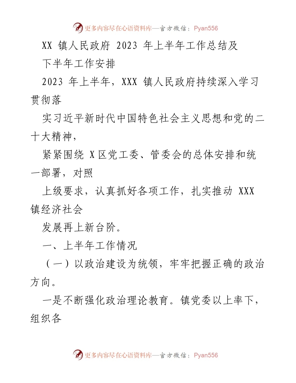 [工作总结] XX 镇人民政府 - 2023 年上半年工作总结及下半年工作安排.docx_第1页