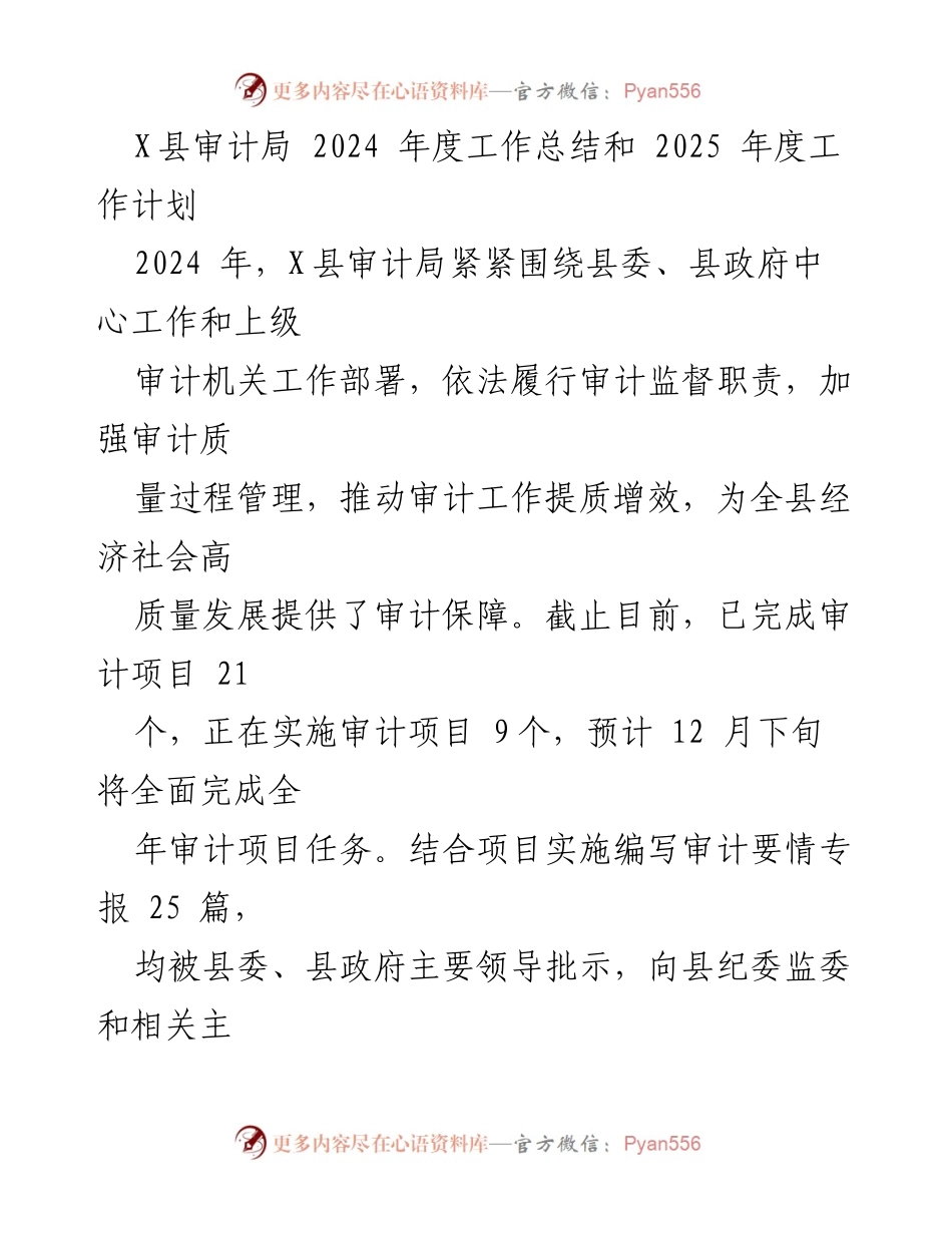[工作总结] X县审计局 - 2024年度工作总结与2025年度工作计划.docx_第1页