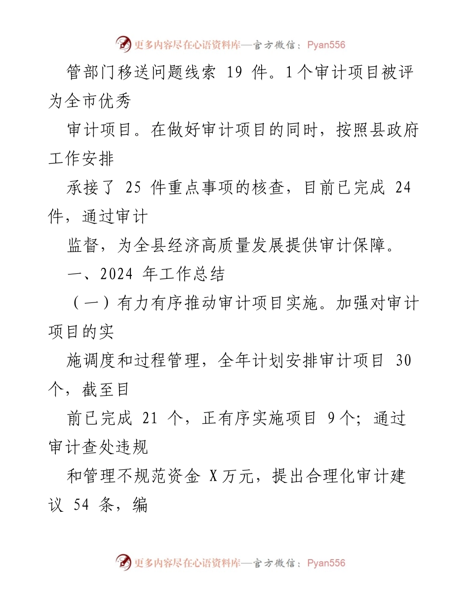 [工作总结] X县审计局 - 2024年度工作总结与2025年度工作计划.docx_第2页