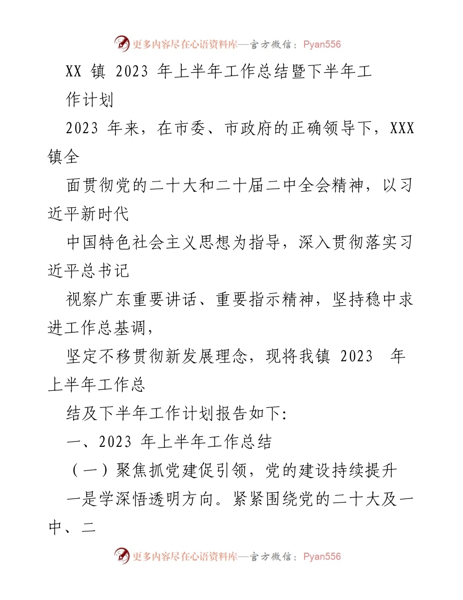[工作总结] XX 镇 2023 年上半年工作总结暨下半年工作计划 - 党建引领与乡村振兴成效显著.docx_第1页