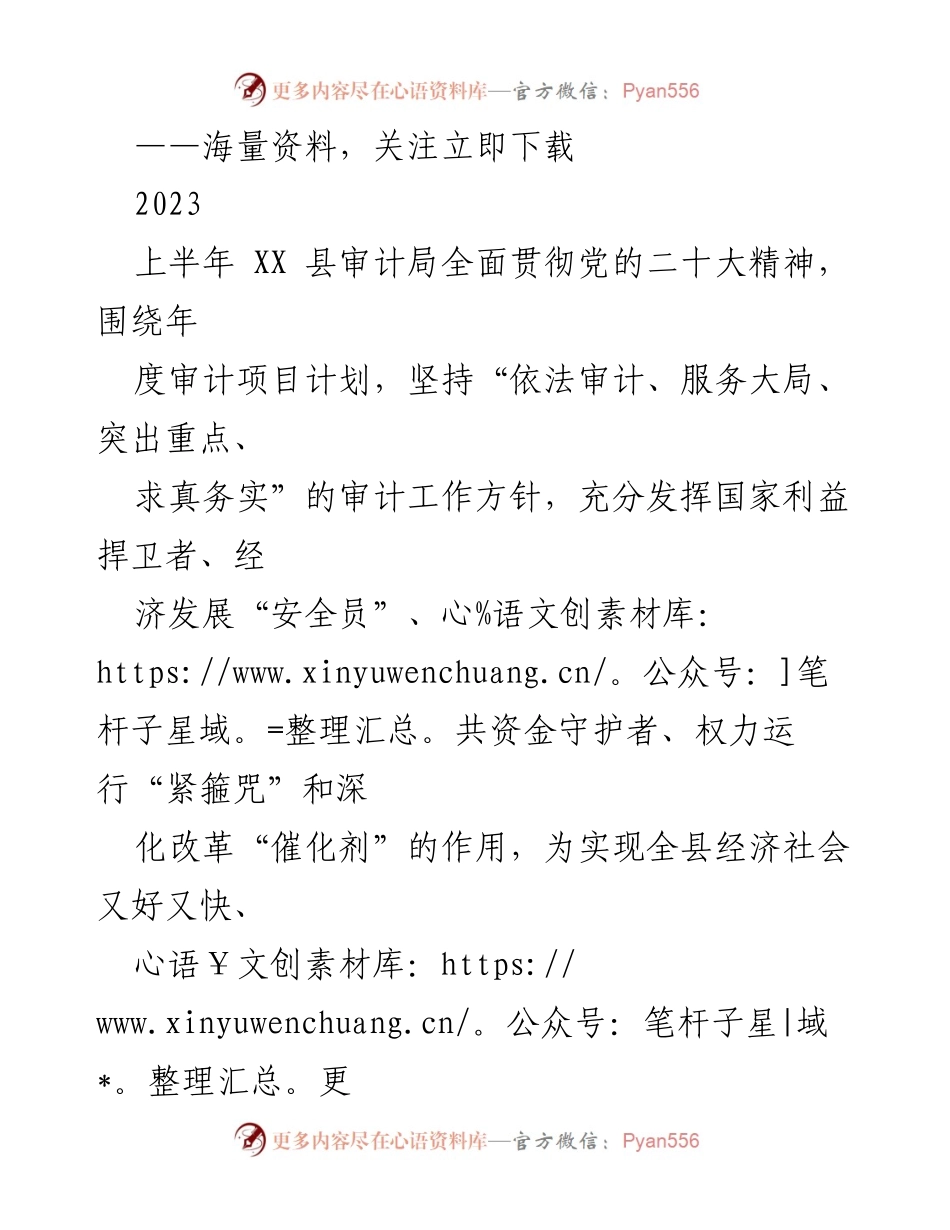 [工作总结] XX 县审计局 - 2023年上半年审计工作总结与下半年计划.docx_第1页