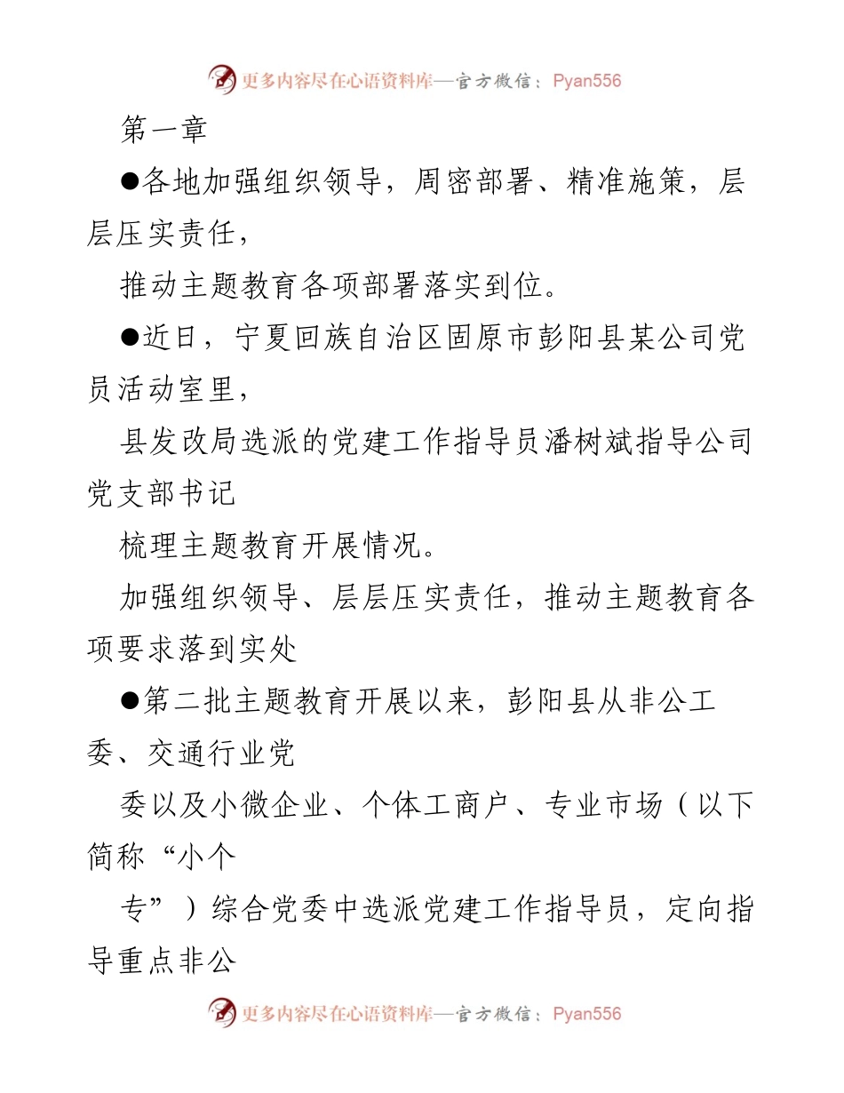 [工作总结] 主题教育推进 - 推动主题教育在“三新”领域的有效落实与实践.docx_第2页