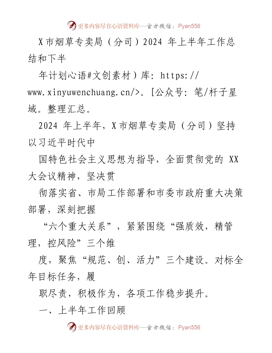 [工作总结] X市烟草专卖局（分司） - 2024年上半年工作总结与下半年计划.docx_第1页