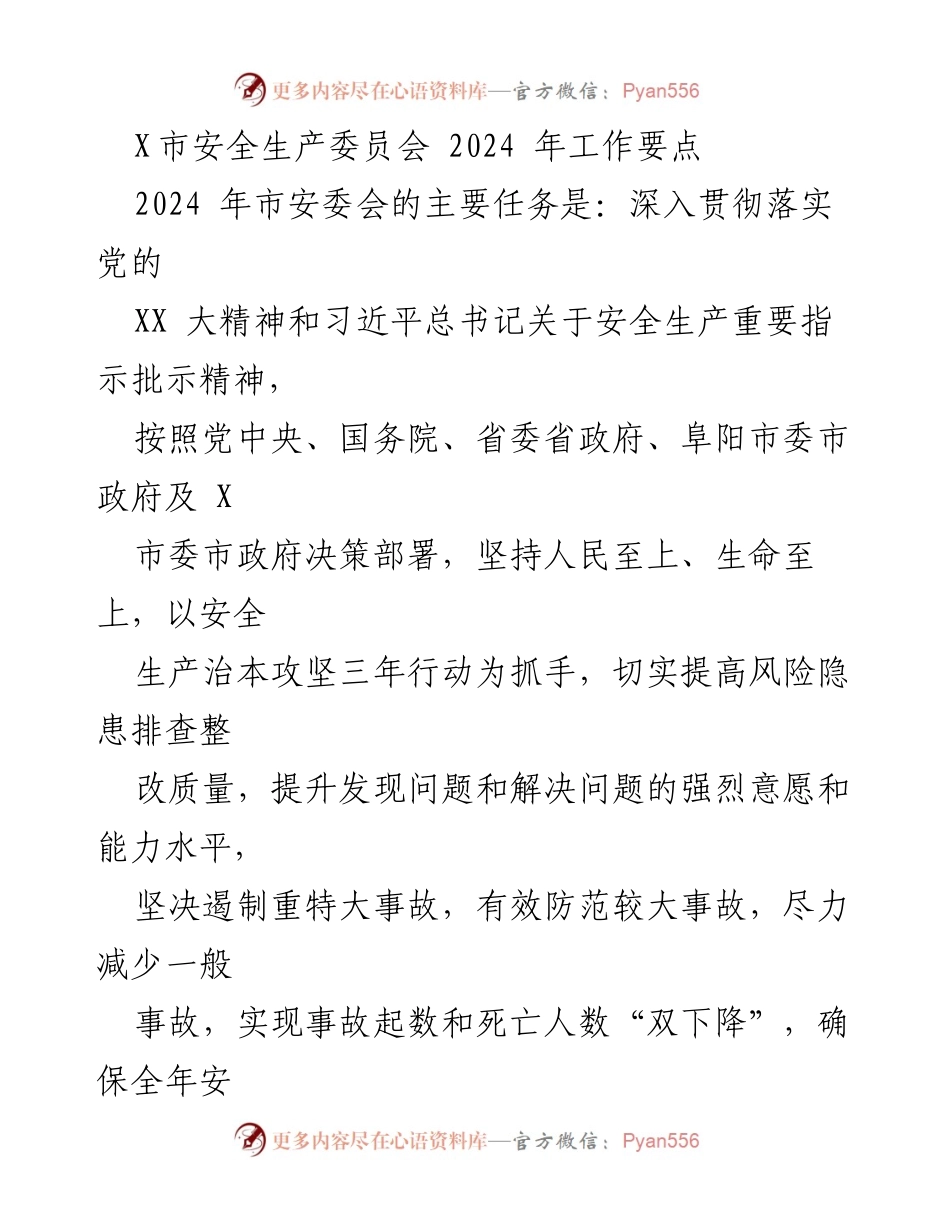 [工作总结] X市安全生产委员会 - 2024年安全生产工作要点及责任落实.docx_第1页