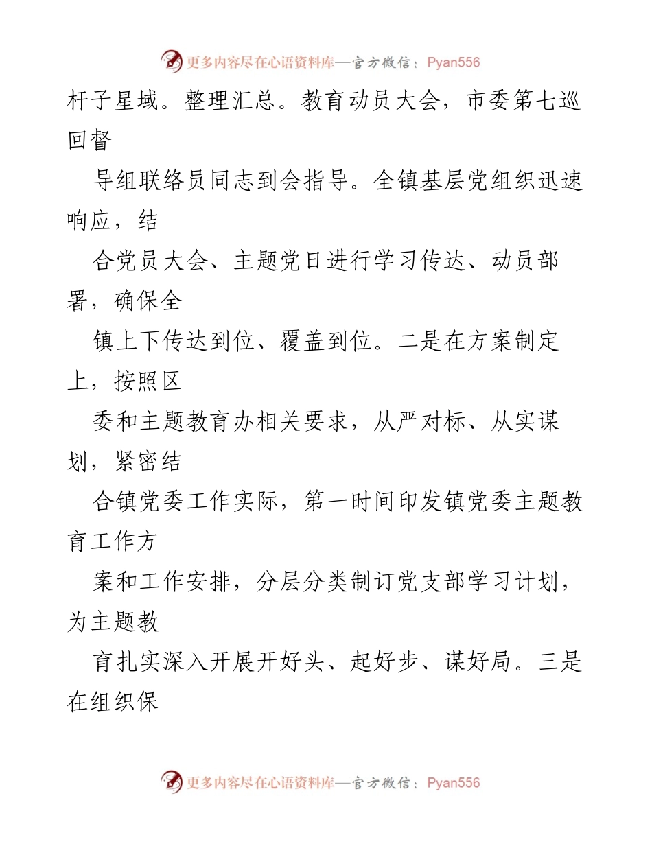 [工作总结] 乡镇主题教育 - 乡镇第二批主题教育总结与成效分析.docx_第2页