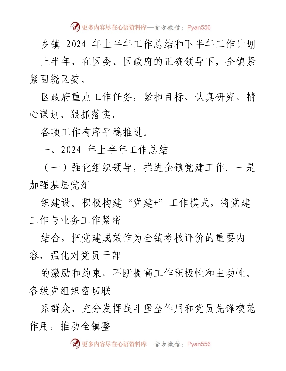 [工作总结] 乡镇 - 2024年上半年工作总结与下半年工作计划_3.docx_第1页