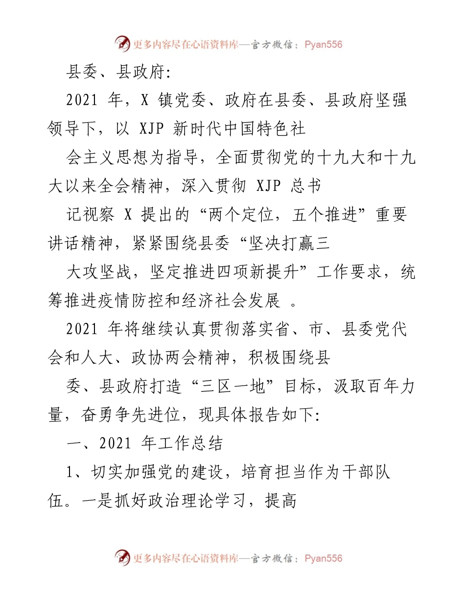 [工作总结] X镇 - 2021年X镇党委政府工作总结报告.docx_第1页