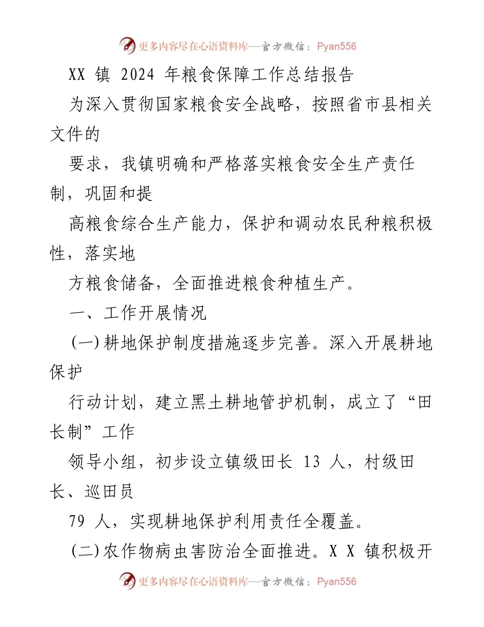 [工作总结] XX镇 - 2024年粮食保障工作总结报告.docx_第1页