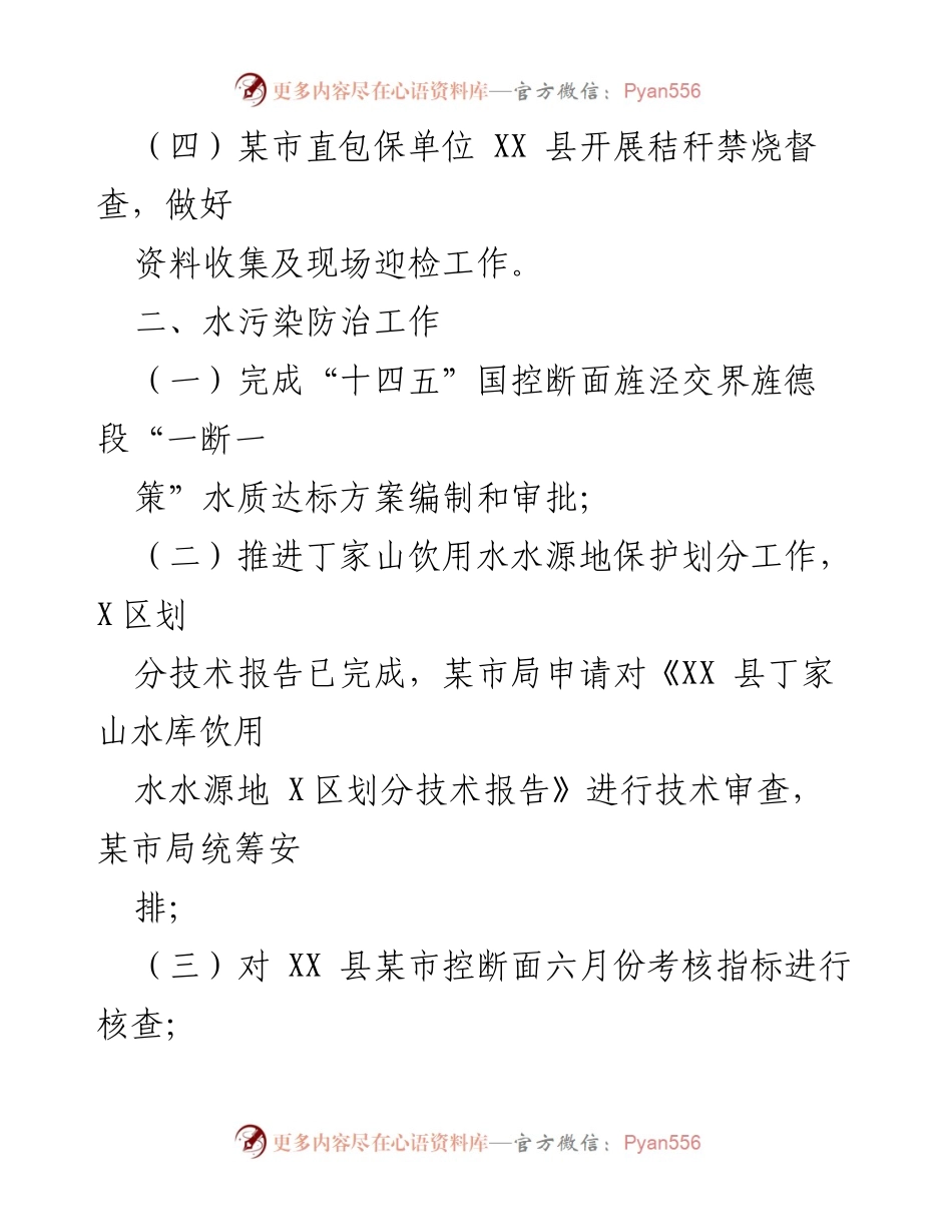[工作总结] XX县生态环境分局 - 2022年X月生态环境重点工作总结.docx_第2页