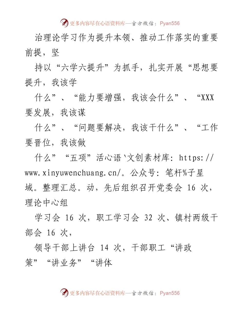 [工作总结] 主题教育 - XXX 镇学习贯彻习近平新时代中国特色社会主义思想工作总结.docx_第2页