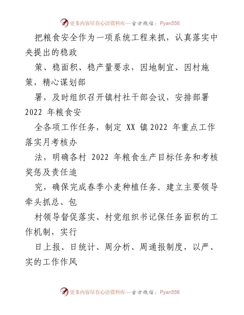 [工作总结] XX 镇粮食安全工作 - XX 镇粮食安全责任制落实情况总结.docx_第2页
