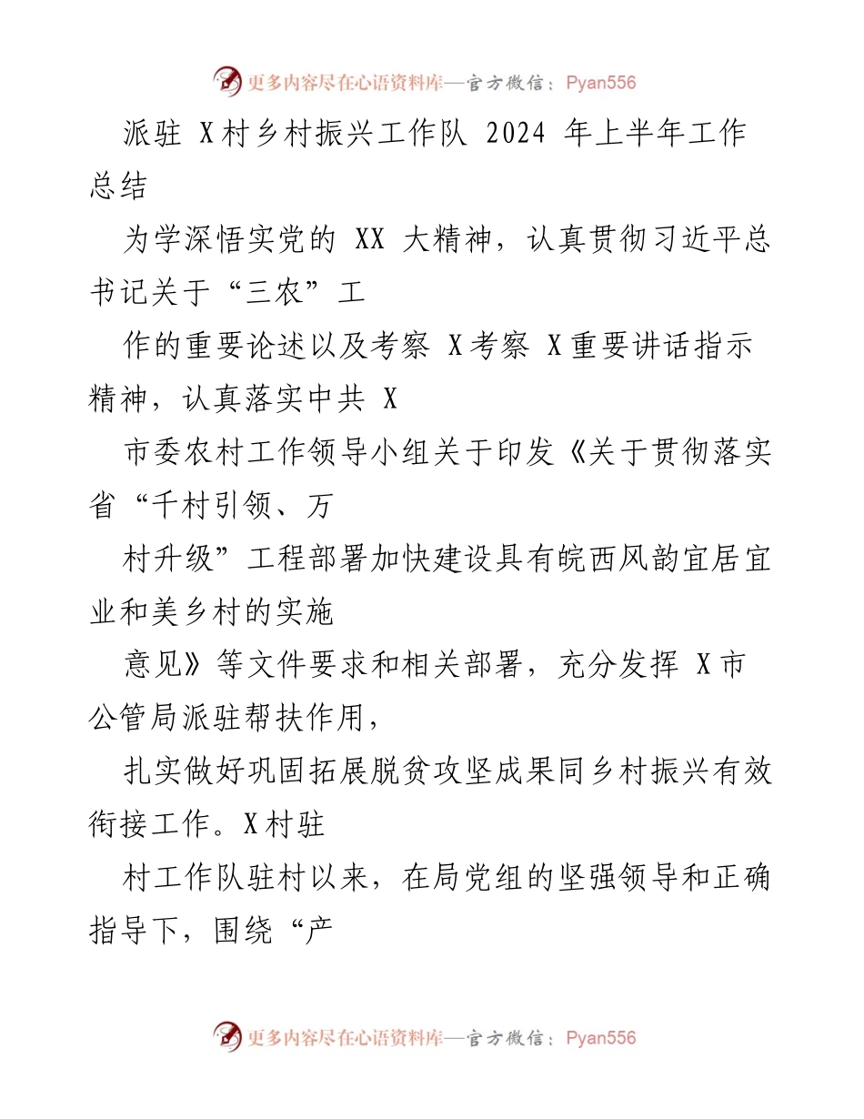 [工作总结] 乡村振兴工作队 - 2024年上半年乡村振兴工作总结报告.docx_第1页