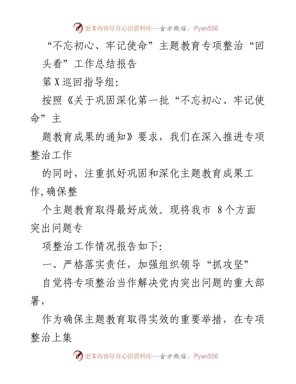 [工作总结] 主题教育专项整治 - 不忘初心、牢记使命：专项整治工作总结报告.docx_第1页