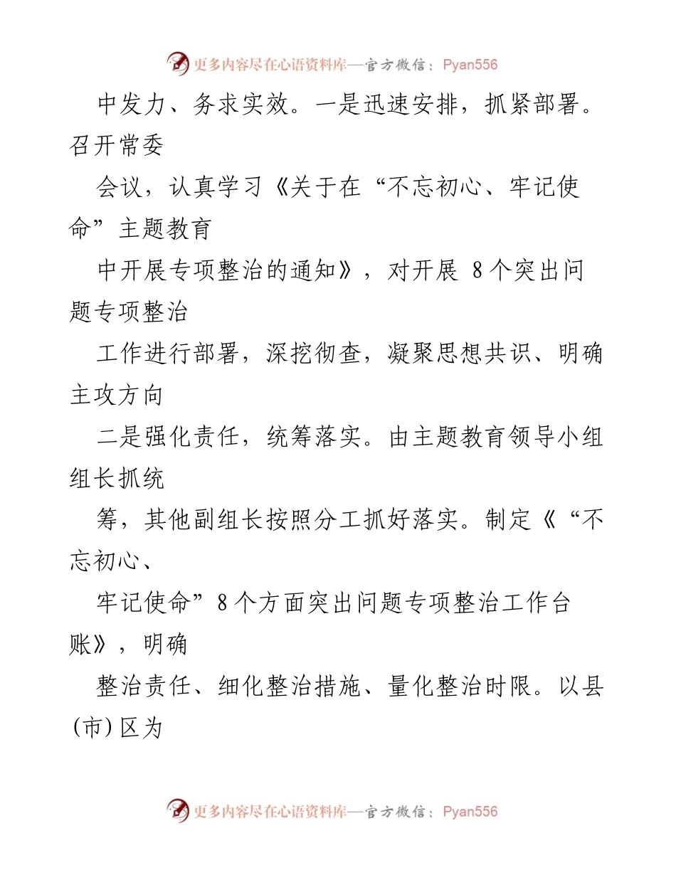 [工作总结] 主题教育专项整治 - 不忘初心、牢记使命：专项整治工作总结报告.docx_第2页