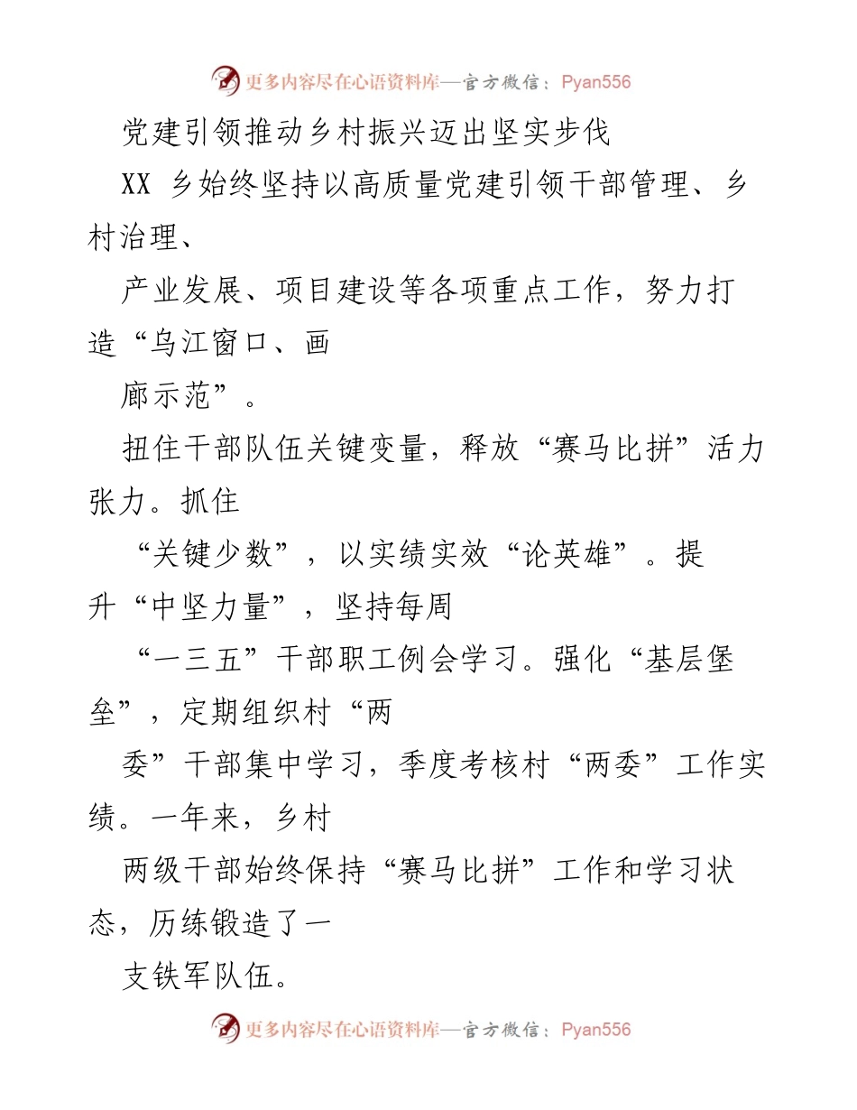 [工作总结] 乡村振兴 - 党建引领下的乡村振兴实践与成效_3.docx_第1页