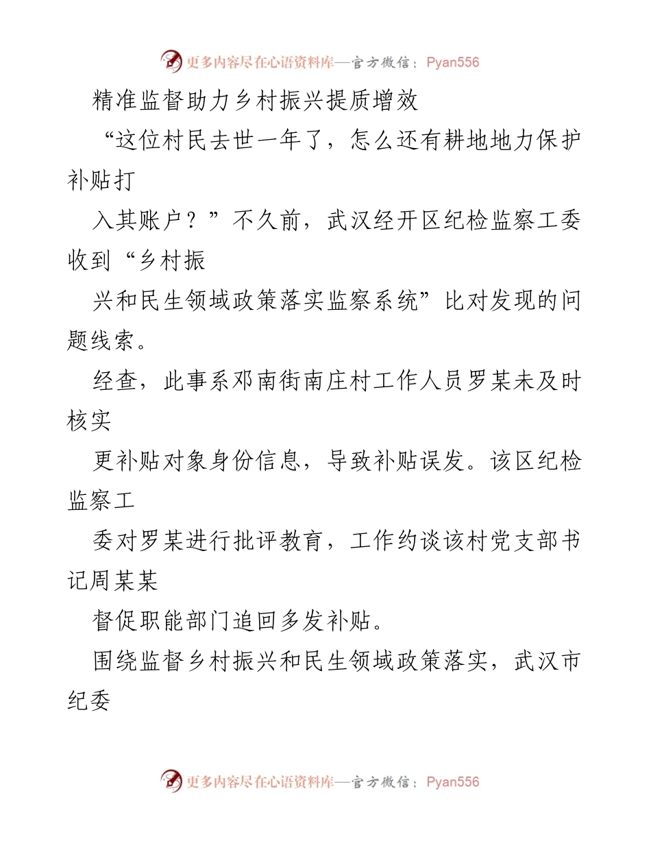 [工作总结] 乡村振兴监督 - 精准监督助力乡村振兴政策落实与清廉建设.docx_第1页
