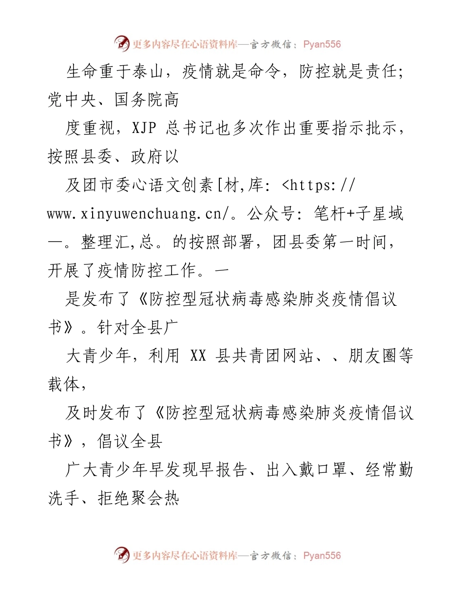 [工作总结] XX 县共青团年度工作总结 - 202X年XX县共青团疫情防控与青年服务工作总结.docx_第2页