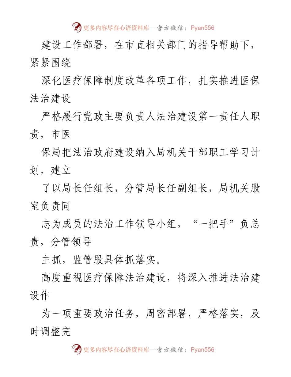 [工作总结] XX市医疗保障局 - 202X年度法治政府建设工作总结.docx_第2页
