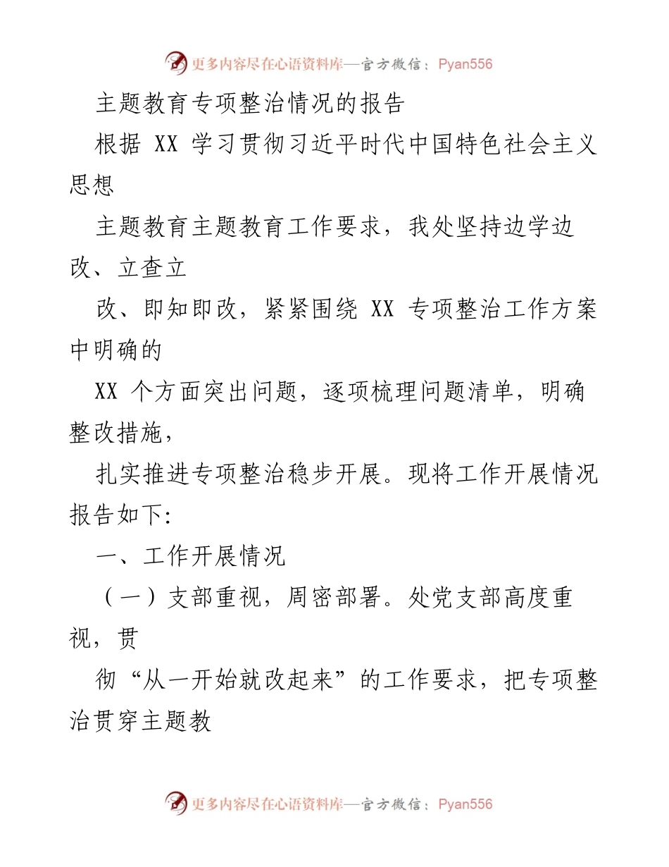 [工作总结] 主题教育专项整治 - 主题教育专项整治工作开展情况报告.docx_第1页
