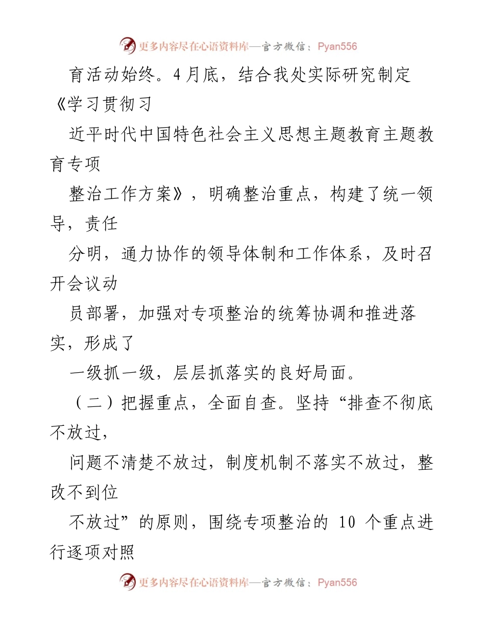 [工作总结] 主题教育专项整治 - 主题教育专项整治工作开展情况报告.docx_第2页