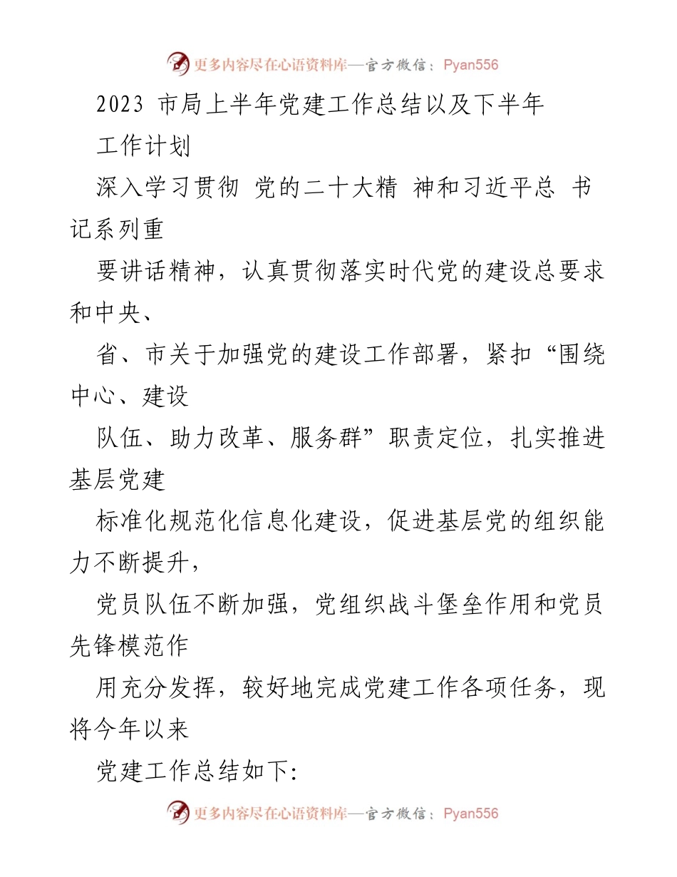 [工作总结] 上半年党建工作 - 2023年市局上半年党建工作总结及下半年工作计划.docx_第1页