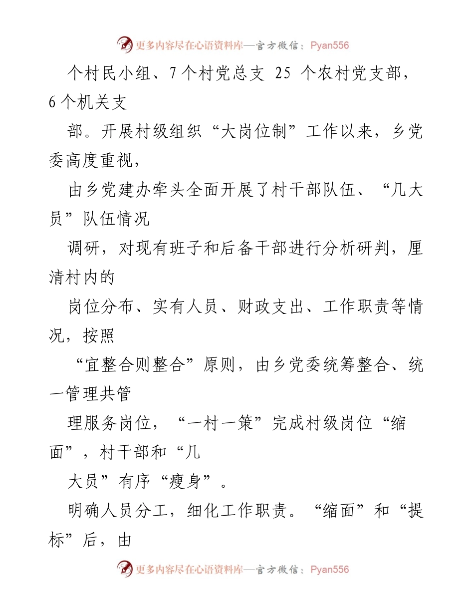 [工作总结] 乡村振兴 - 优化“大岗位制”推动X乡村级组织建设.docx_第2页