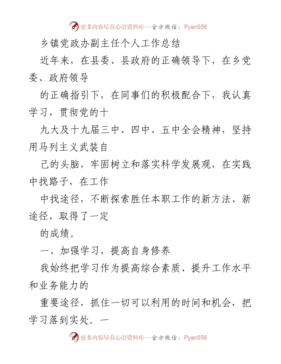[工作总结] 乡镇党政办 - 乡镇党政办副主任个人工作总结与反思.docx_第1页