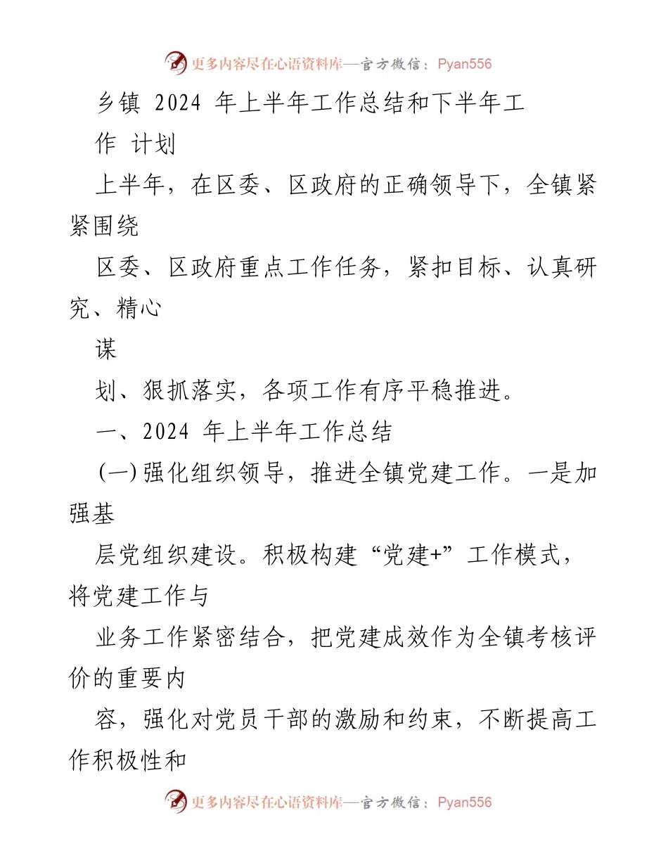 [工作总结] 乡镇 - 2024年上半年工作总结与下半年工作计划_2.docx_第1页