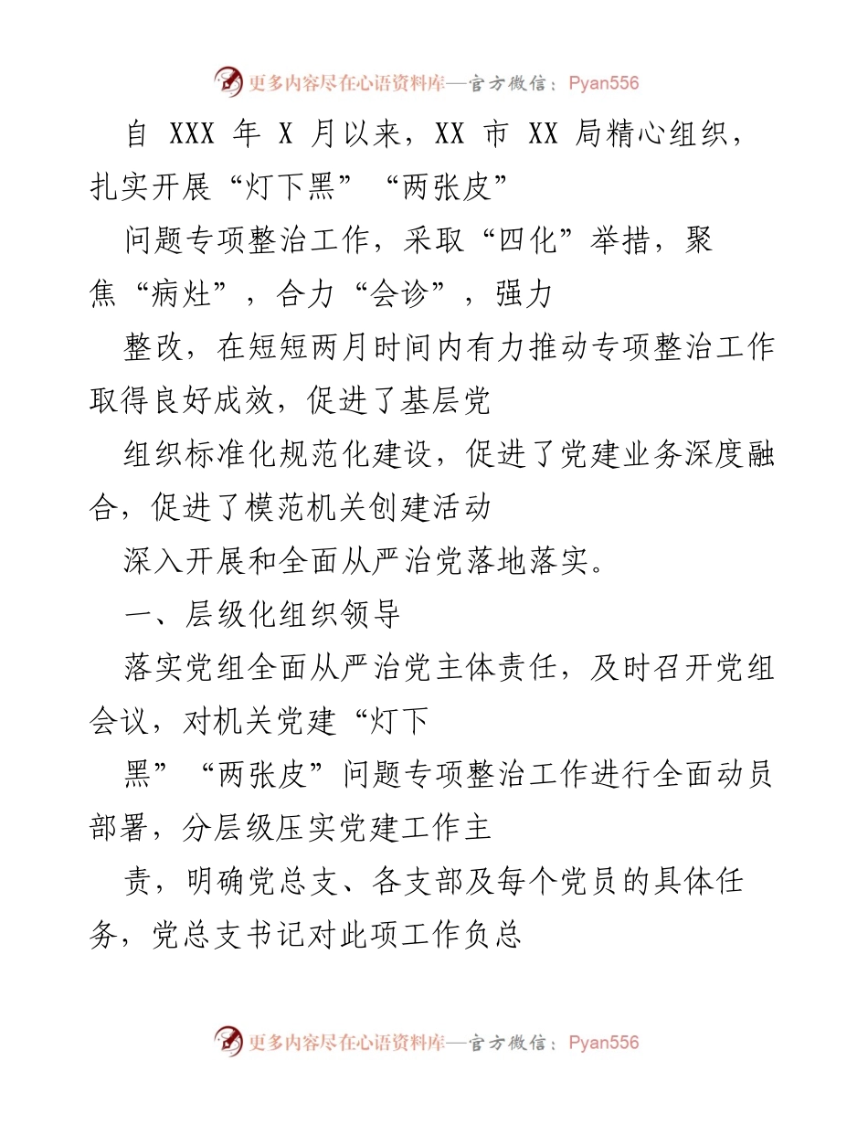 [工作总结] 专项整治工作 - XX市“灯下黑”“两张皮”问题专项整治工作总结.docx_第1页