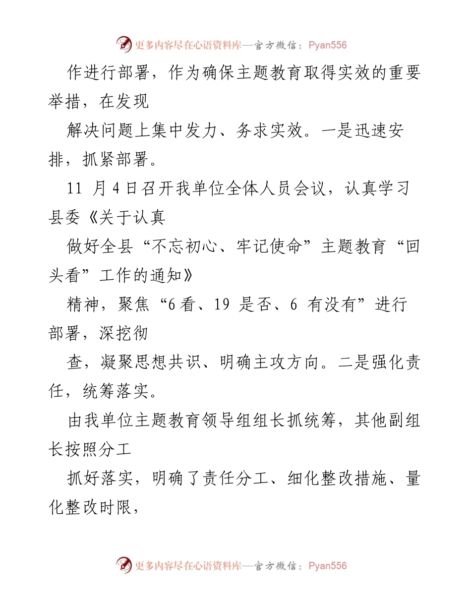 [工作总结] “回头看”主题教育工作总结报告.docx_第2页
