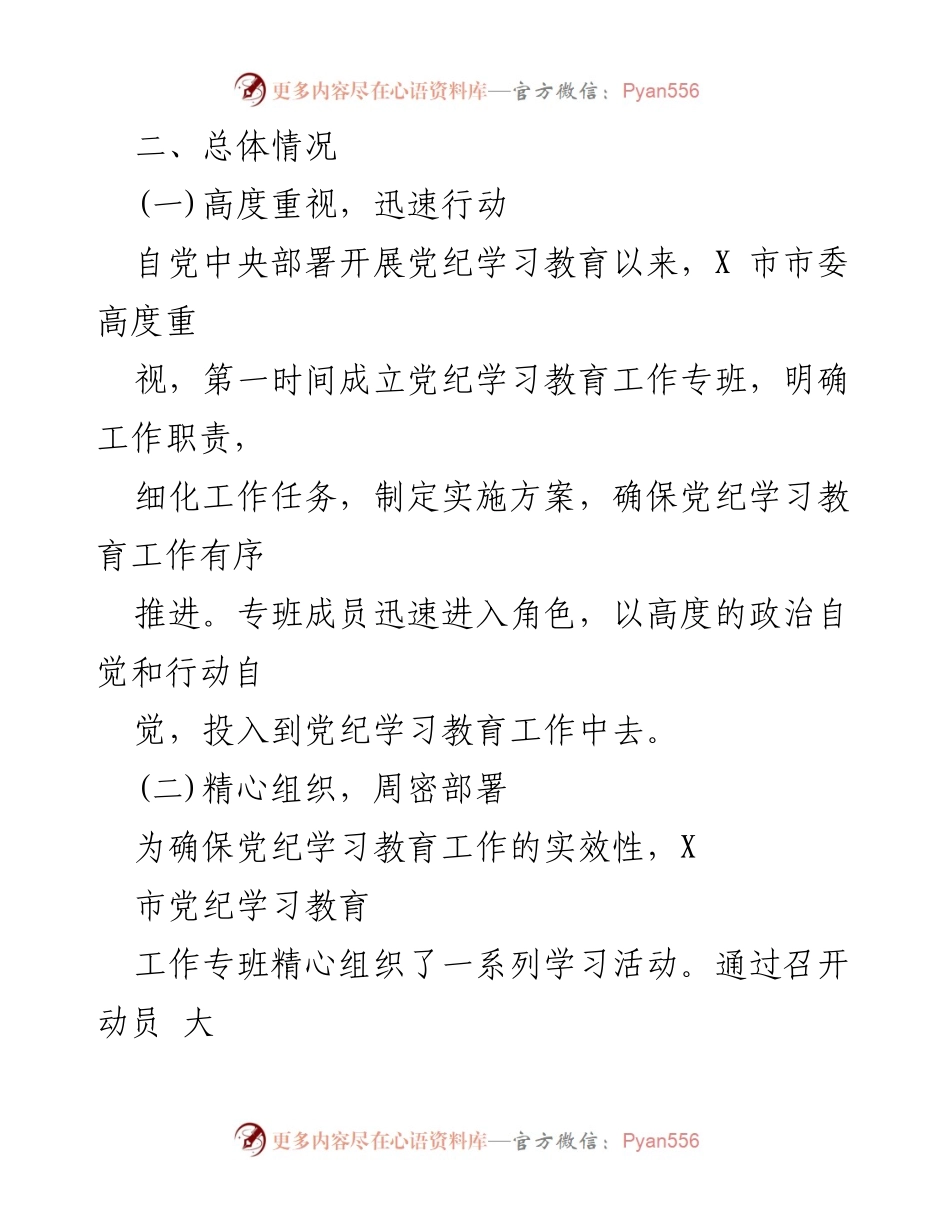 [工作总结] X市党纪学习教育工作 - 2024年X市党纪学习教育工作总结报告.docx_第2页