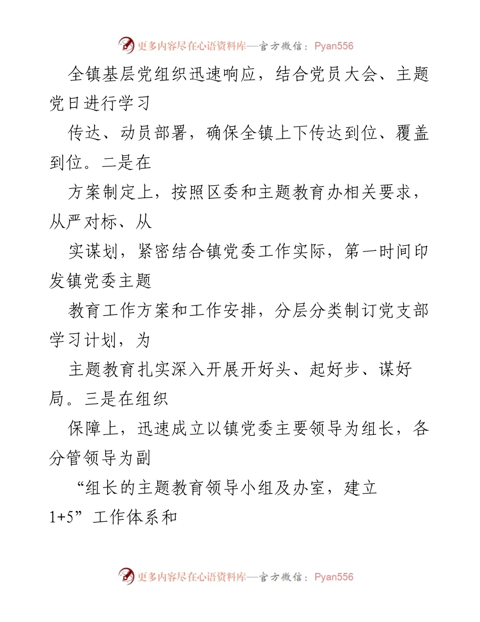 [工作总结] 乡镇主题教育 - 乡镇第二批主题教育总结与成效分析_1.docx_第2页