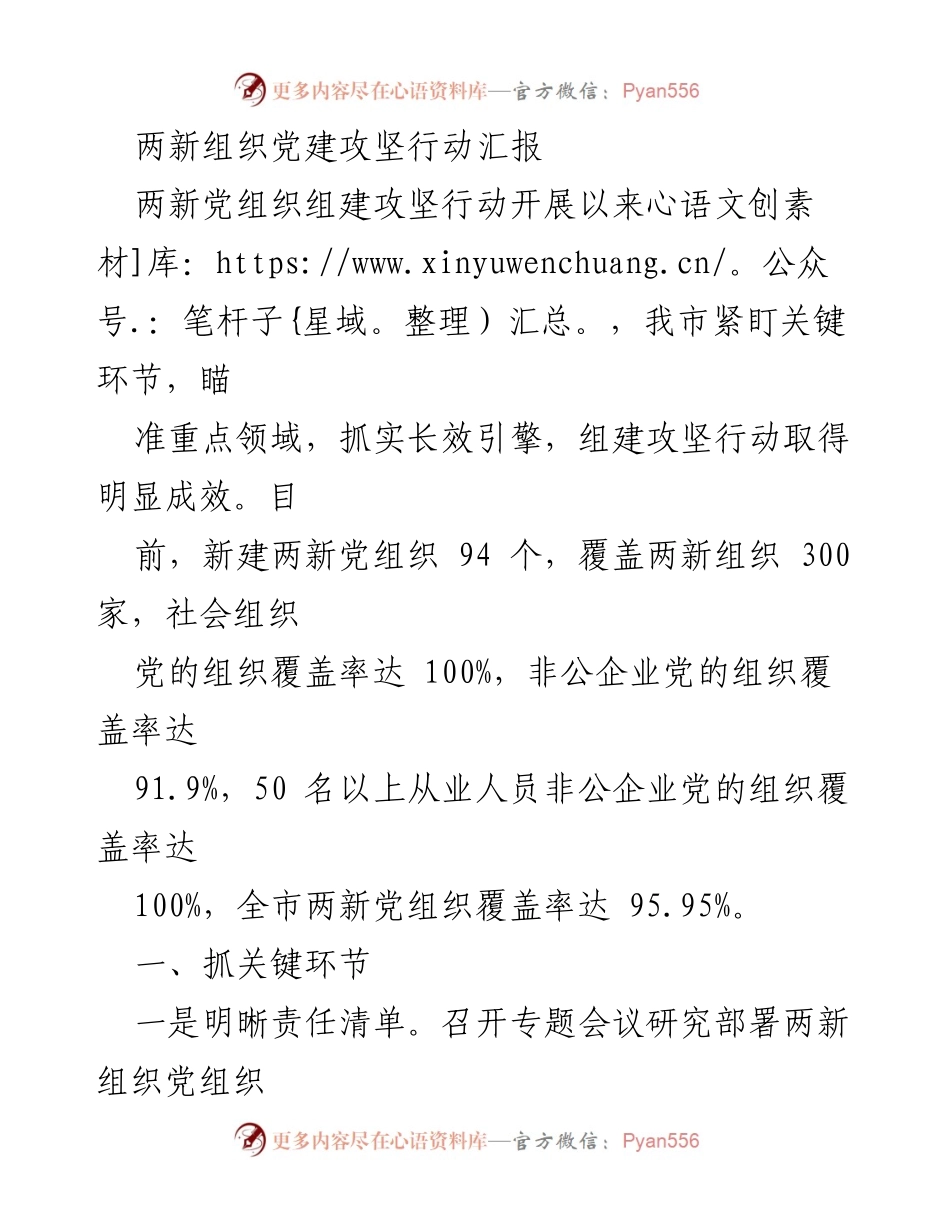 [工作总结] 两新组织党建攻坚行动汇报 - 两新党组织组建攻坚行动成效与经验总结.docx_第1页