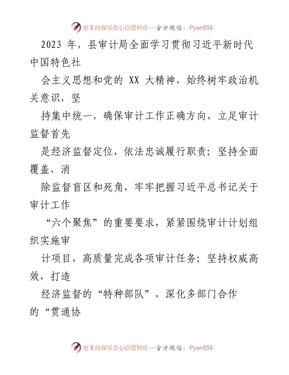 [工作总结] XX县审计局 - 2023年度审计工作总结与经济发展服务.docx_第2页