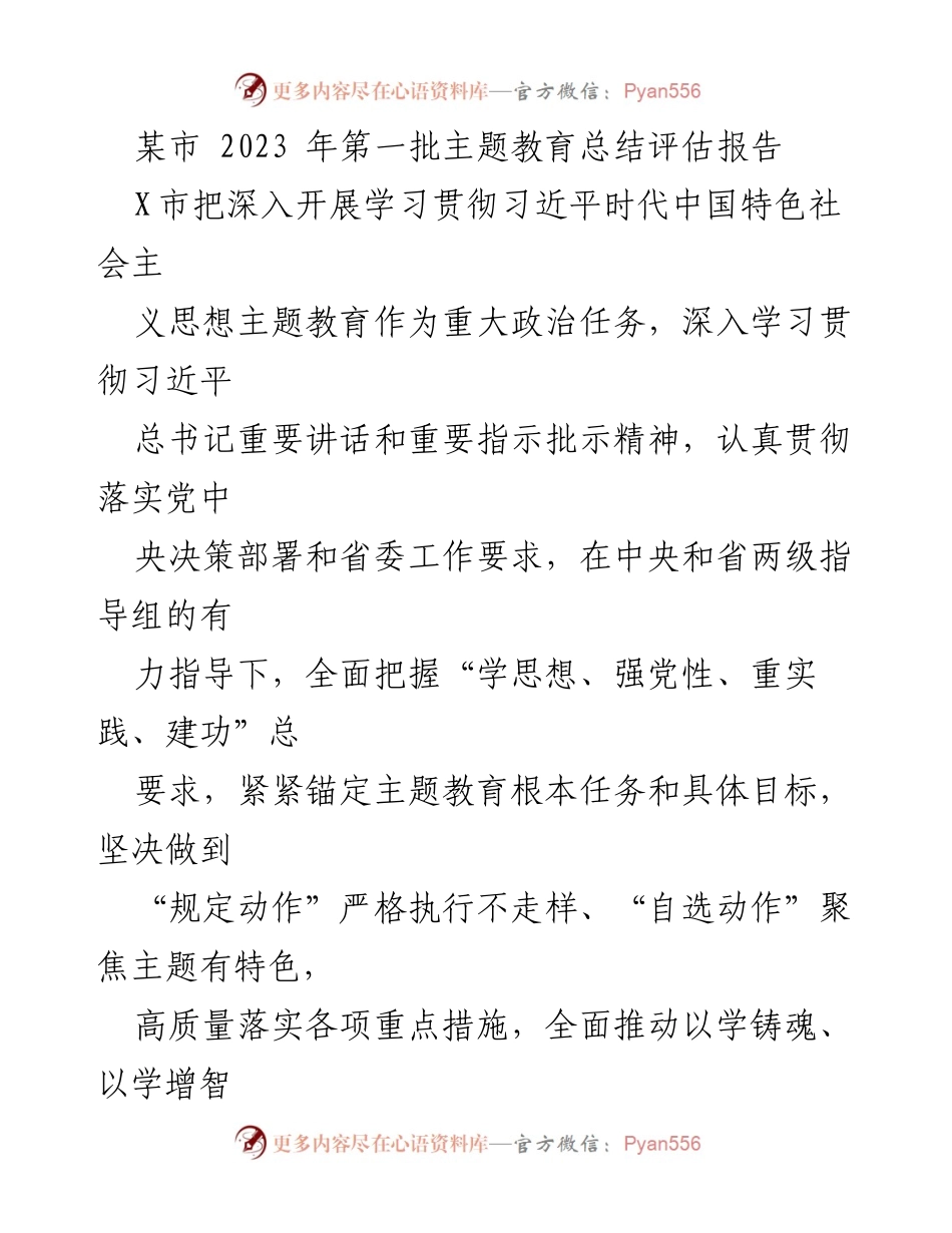 [工作总结] 主题教育 - 某市2023年第一批主题教育总结评估报告.docx_第1页