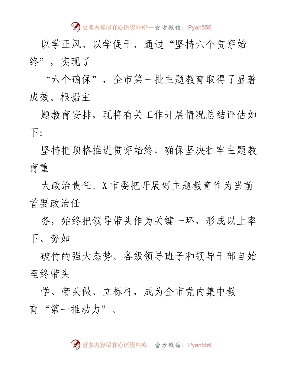 [工作总结] 主题教育 - 某市2023年第一批主题教育总结评估报告.docx_第2页