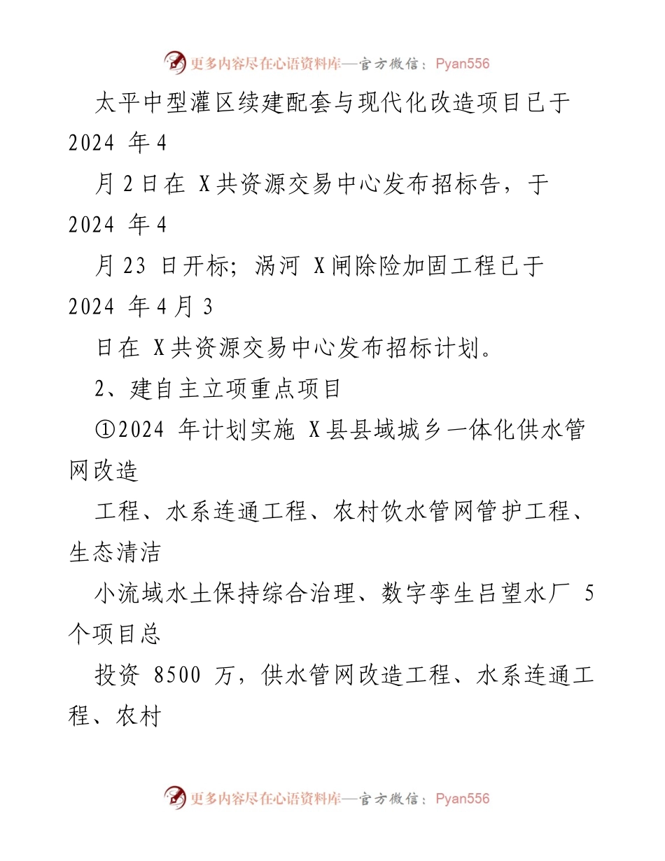 [工作总结] X县水利局 - 2024年第一季度工作总结与计划.docx_第2页