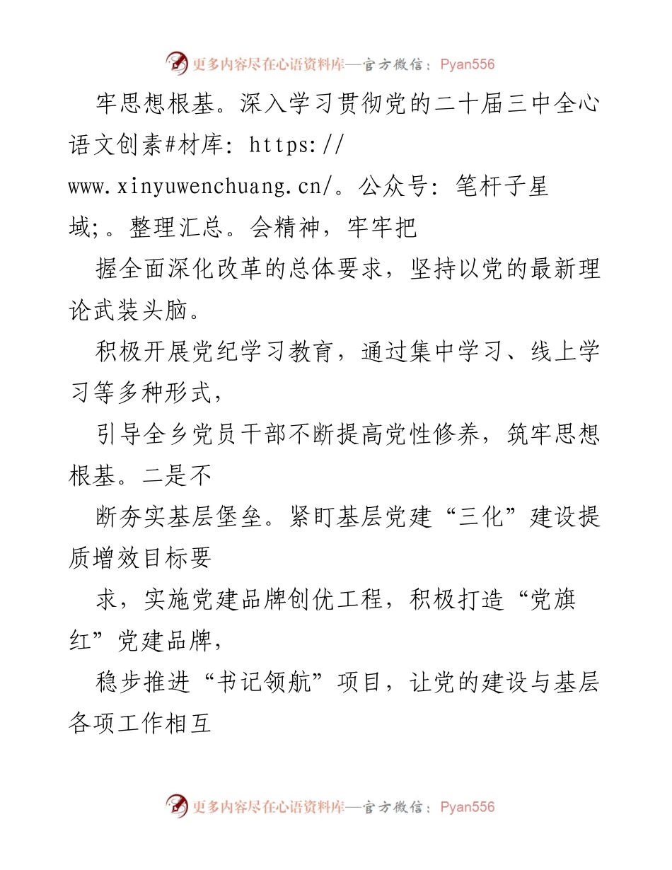 [工作总结] 乡镇 - 2024年度工作总结与成效报告_1.docx_第2页