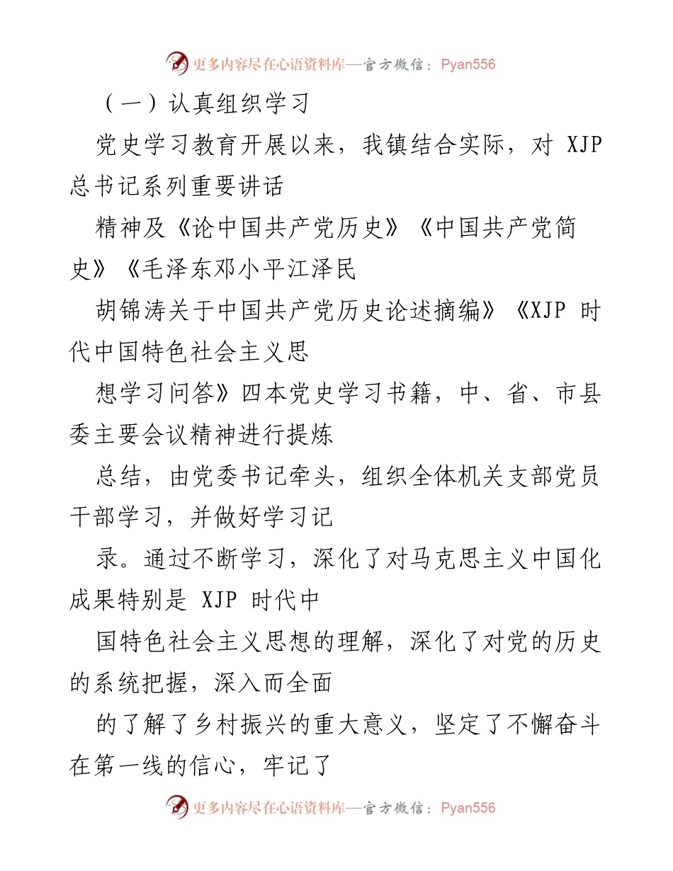 [工作总结] 乡镇党组织 - 202X年专题组织生活会情况报告.docx_第2页