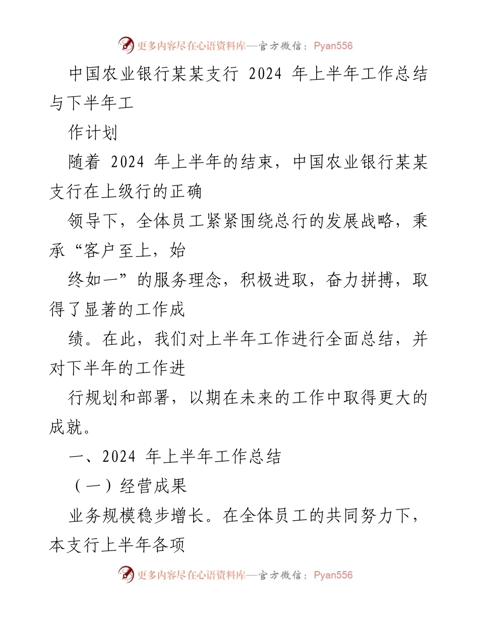 [工作总结] 2024年上半年 - 中国农业银行某某支行2024年上半年工作总结与下半年计划.docx_第1页