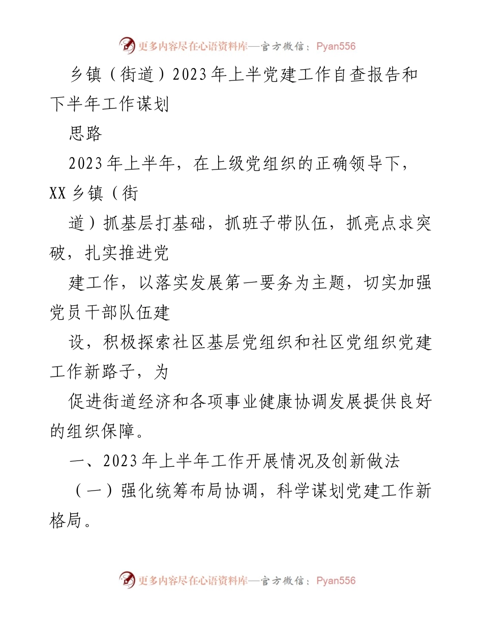 [工作总结] 乡镇党建工作 - 2023年上半年党建工作自查与下半年规划报告.docx_第1页