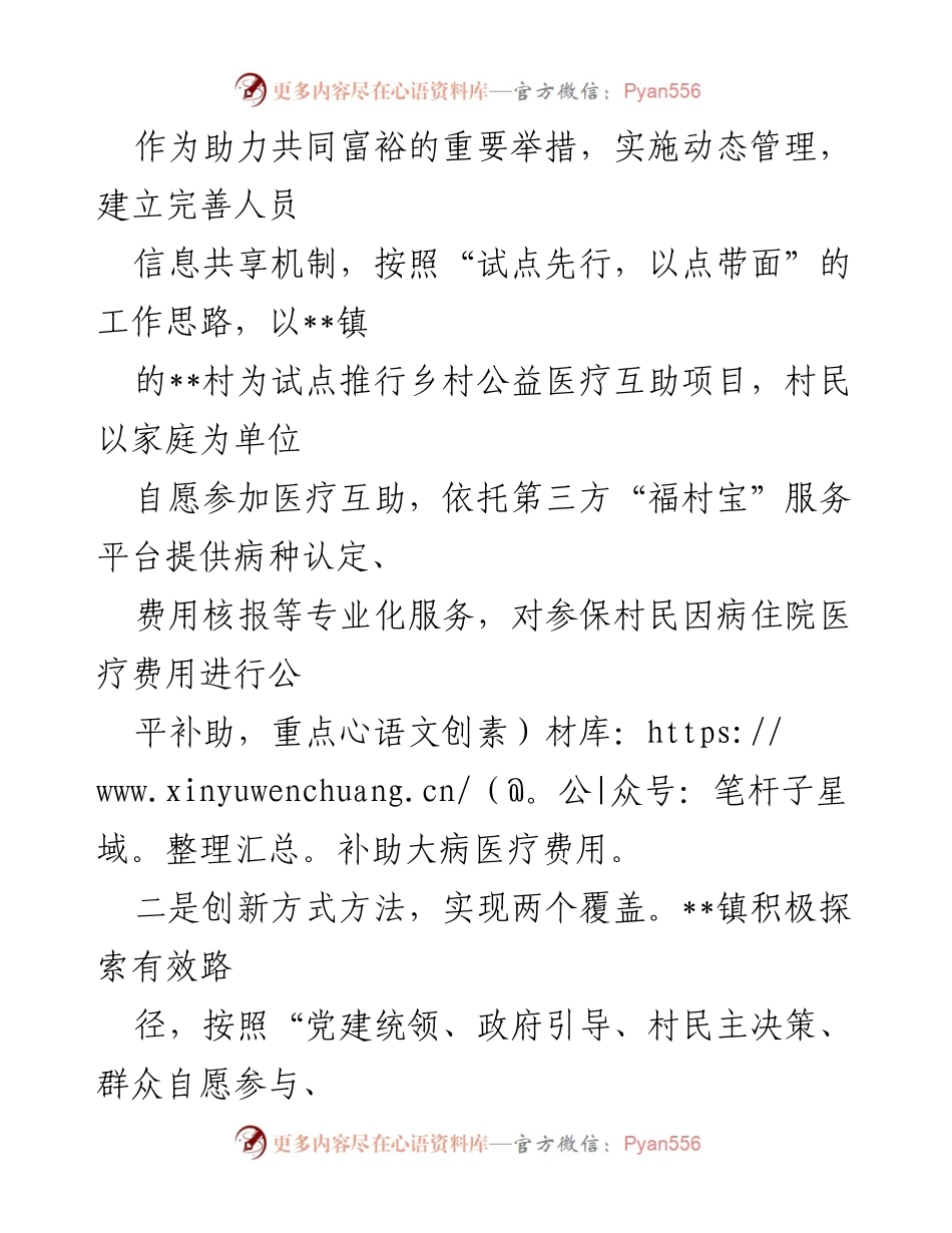 [工作总结] 乡村振兴 - 乡村医疗互助项目经验总结.docx_第2页