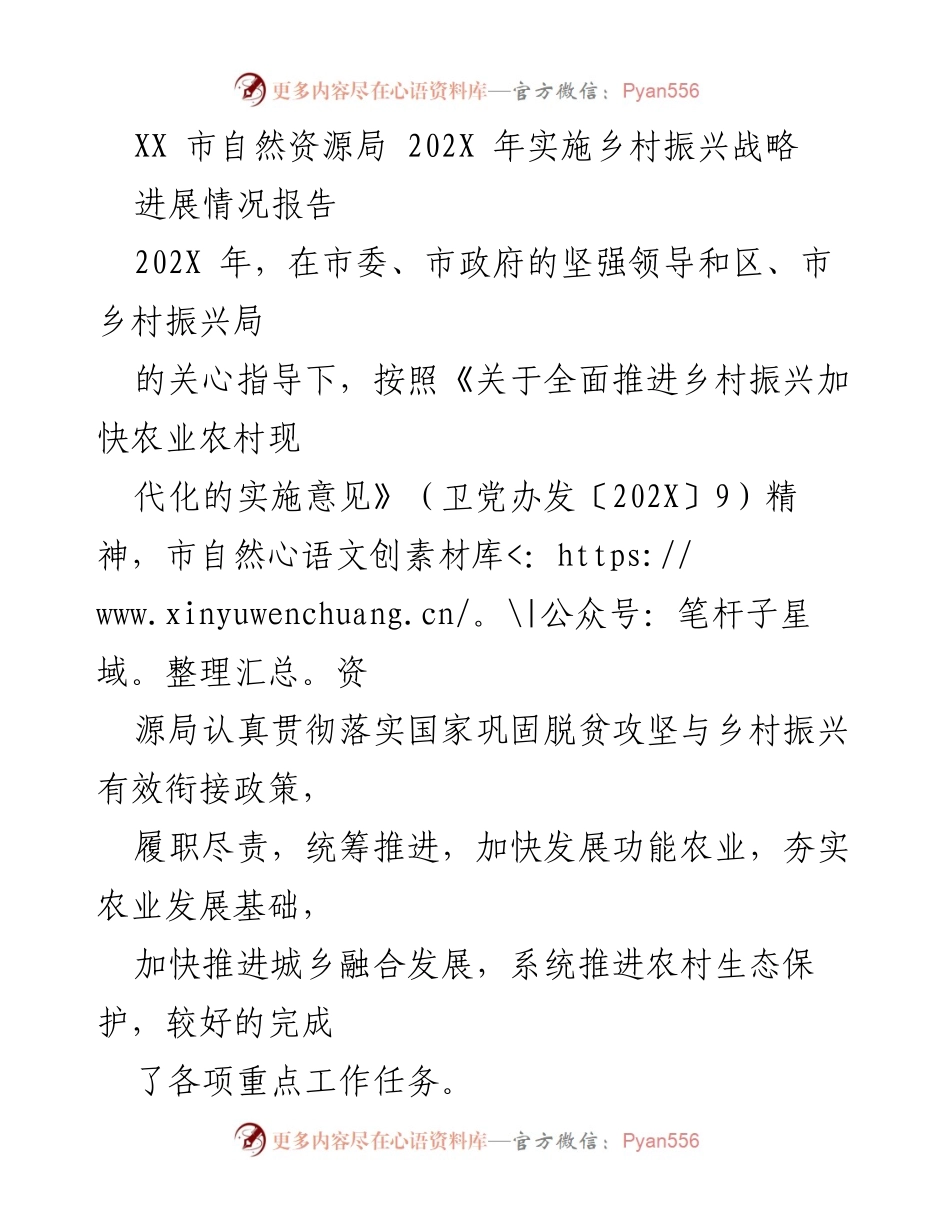 [工作总结] 乡村振兴战略实施 - XX市自然资源局202X年乡村振兴战略进展情况报告.docx_第1页