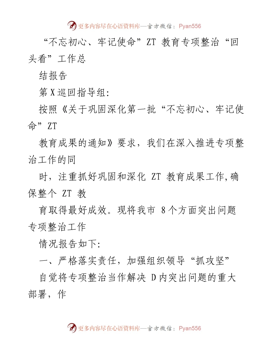 [工作总结] 专项整治工作 - 不忘初心、牢记使命ZT教育专项整治工作总结报告.docx_第1页