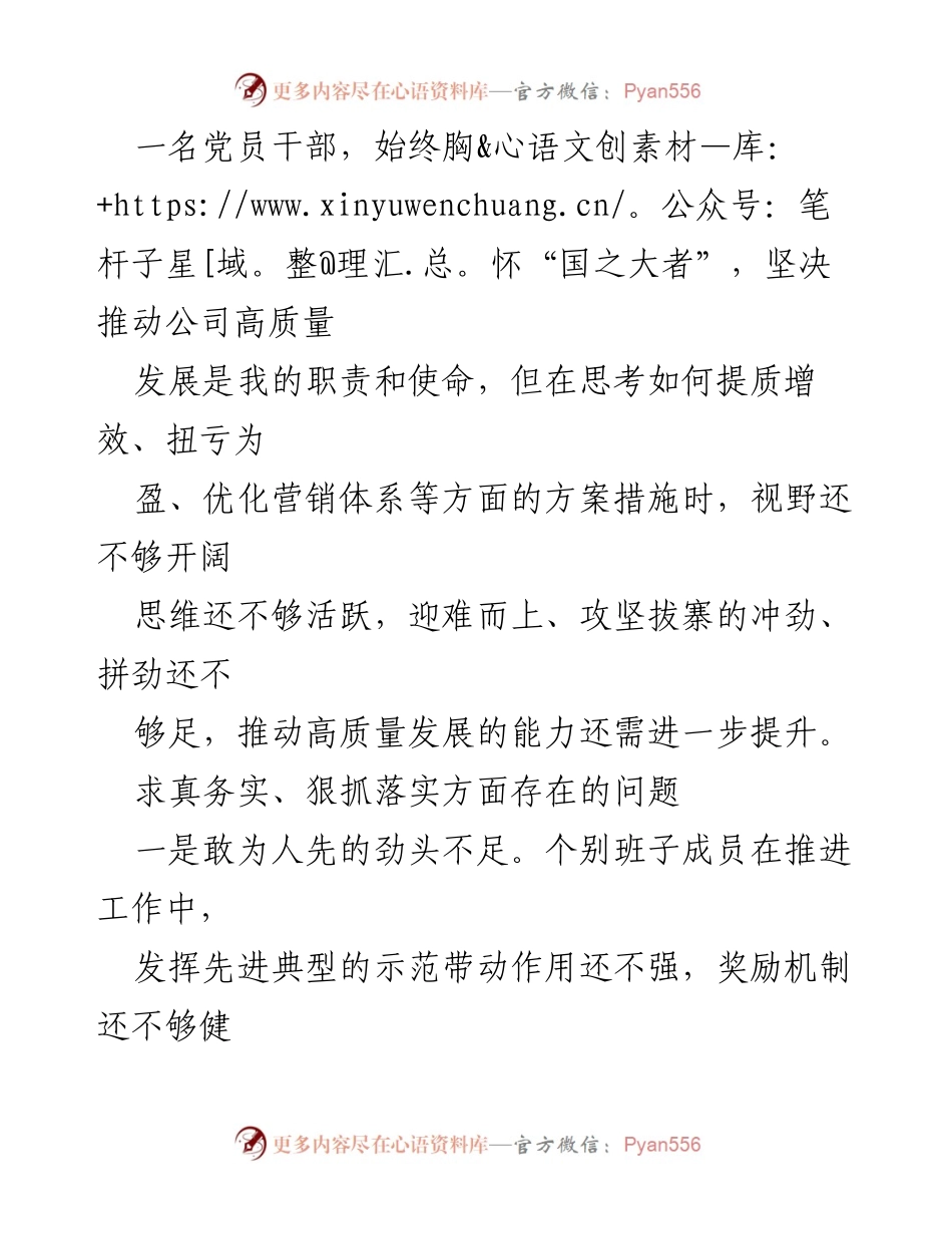 [工作总结] 2024年工作反思 - 求真务实与狠抓落实中的问题与改进建议.docx_第2页